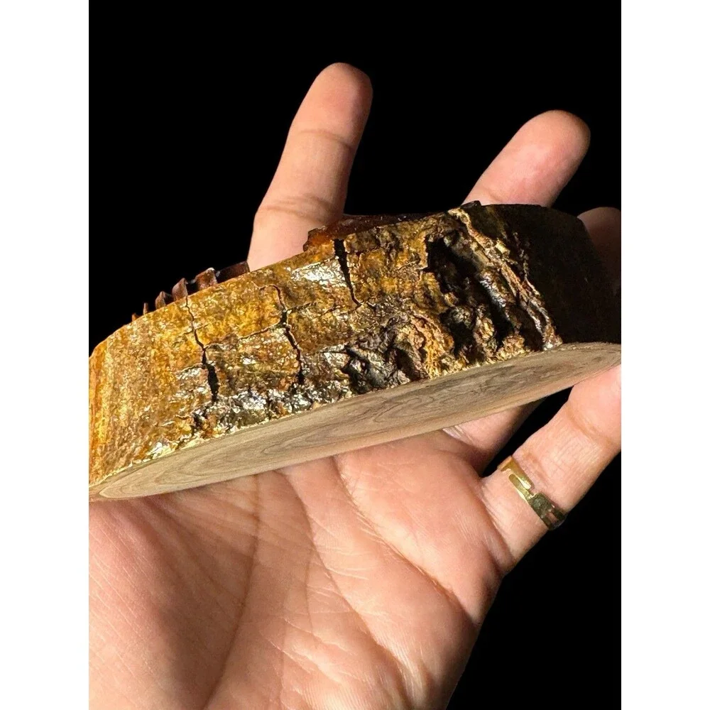 NEW Hand Carved Olivewood Bethlehem Nativity Scene from The Holy Land 3.5”
